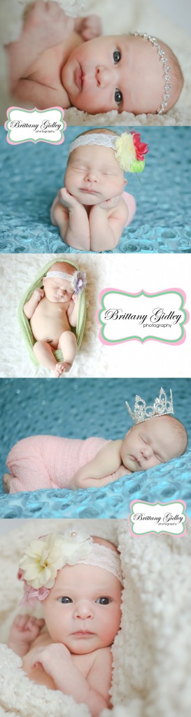 Cleveland Newborn Photography | Brittany Gidley Photography LLC