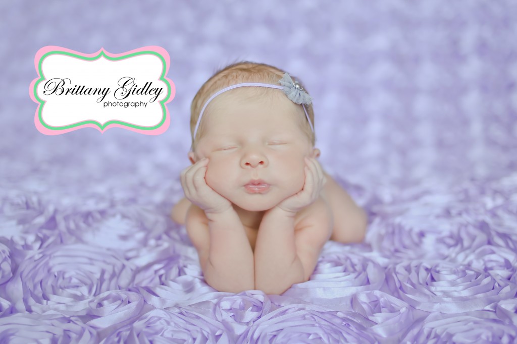 Best Newborn Photographer Cleveland | Brittany Gidley Photography LLC