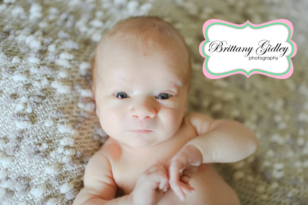 Cleveland Baby Photographer | Brittany Gidley Photography LLC Cleveland Baby Photographer | Brittany Gidley Photography LLC