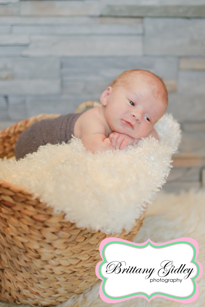 Newborn Photographer Cleveland Ohio | Brittany Gidley Photography LLC Newborn Photographer Cleveland Ohio | Brittany Gidley Photography LLC