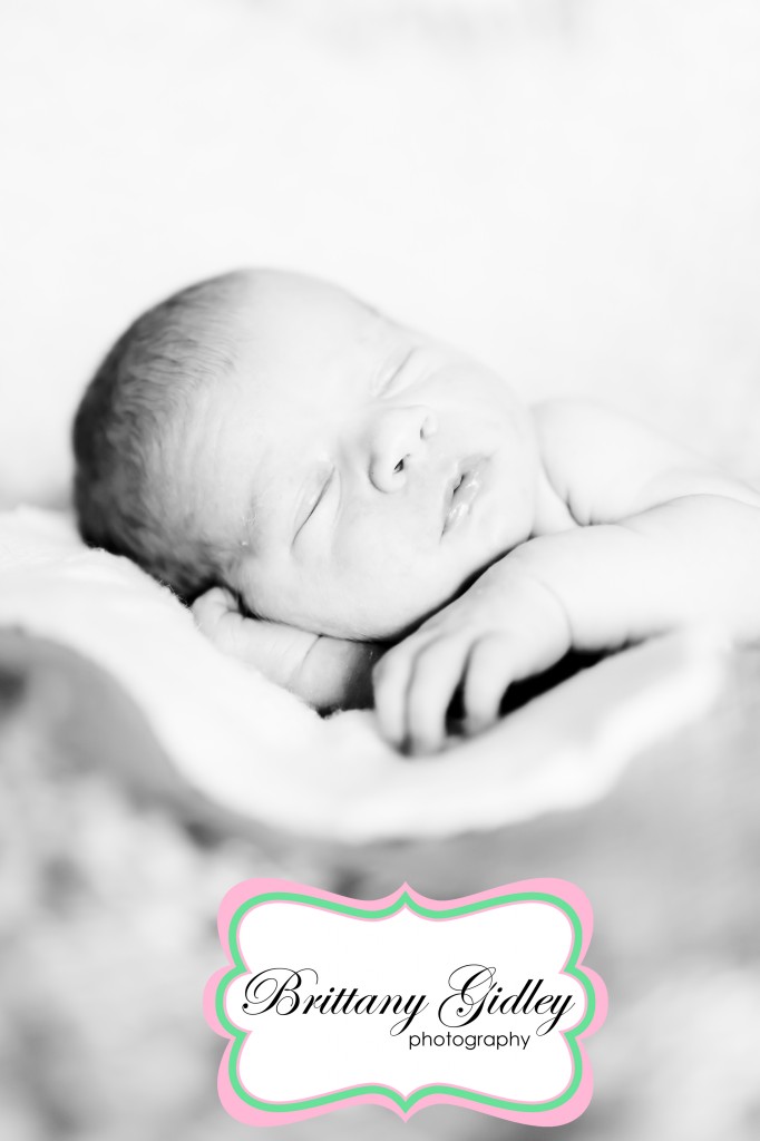 Newborn Baby Photography | Brittany Gidley Photography LLC Newborn Baby Photography | Brittany Gidley Photography LLC