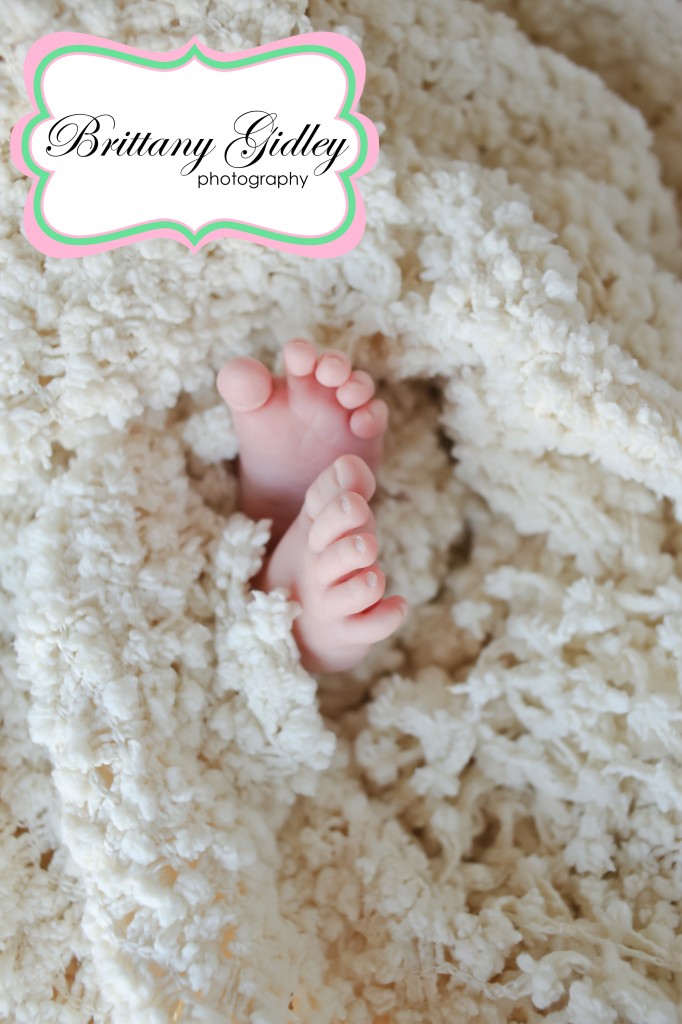 Cleveland Newborn Photographer | Brittany Gidley Photography LLC