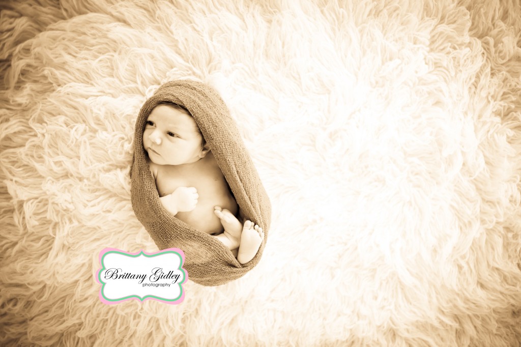 Cleveland, Ohio Newborn Photographer | Brittany Gidley Photography LLC