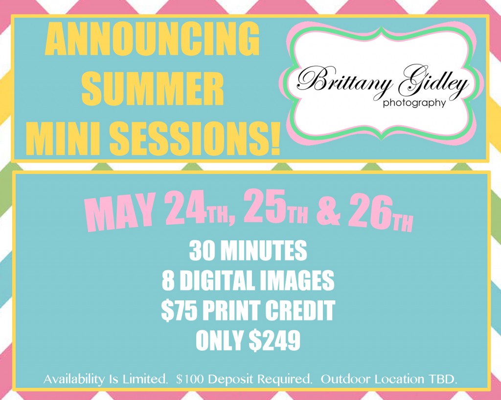 SummerMini2013