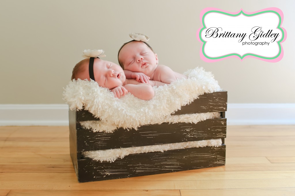 Cleveland Twin Photographer | Brittany Gidley Photography LLC