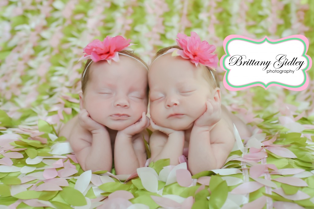 Cleveland Twin Photographer | Brittany Gidley Photography LLC