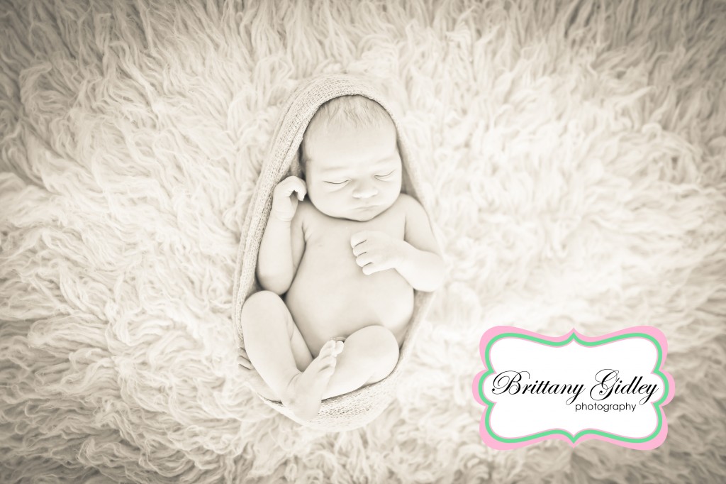 Newborn Photography Specialist | Brittany Gidley Photography LLC Newborn Photography Specialist | Brittany Gidley Photography LLC