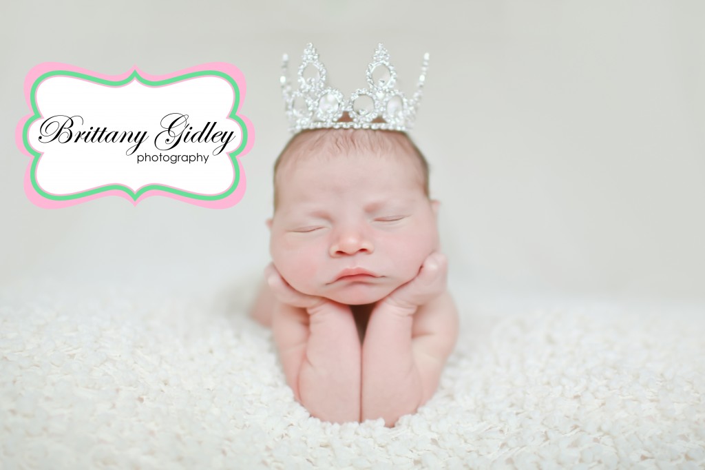 Newborn Photographer Cleveland Ohio | Brittany Gidley Photography LLC Newborn Photographer Cleveland Ohio | Brittany Gidley Photography LLC