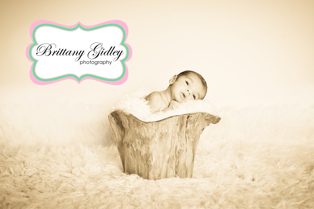 Newborn Photographer | Brittany Gidley Photography LLC