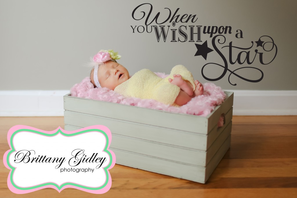 Newborn | Brittany Gidley Photography LLC