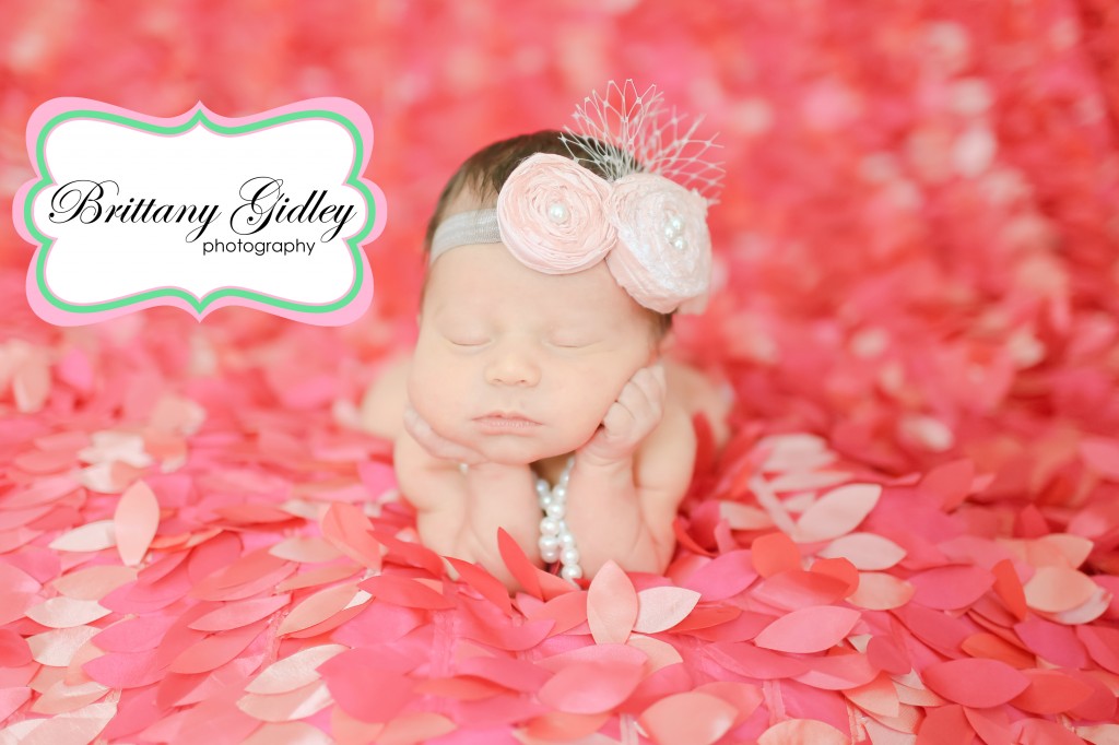 Newborn Photography Cleveland | Brittany Gidley Photography LLC