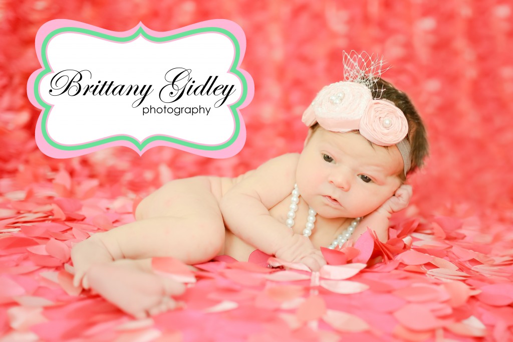 Newborn Baby Photography Cleveland | Brittany Gidley Photography LLC