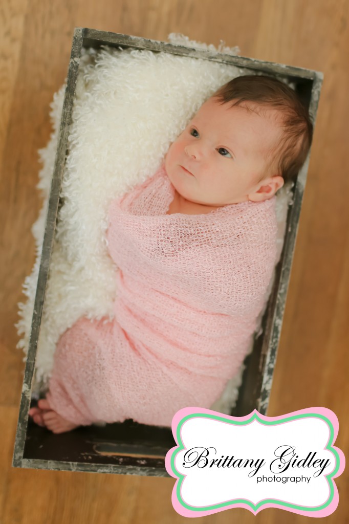 Cleveland Baby Photography | Brittany Gidley Photography LLC