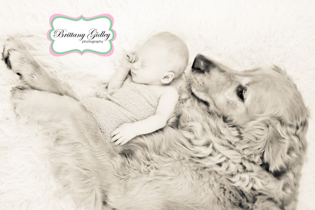 Newborn Cleveland | Brittany Gidley Photography LLC