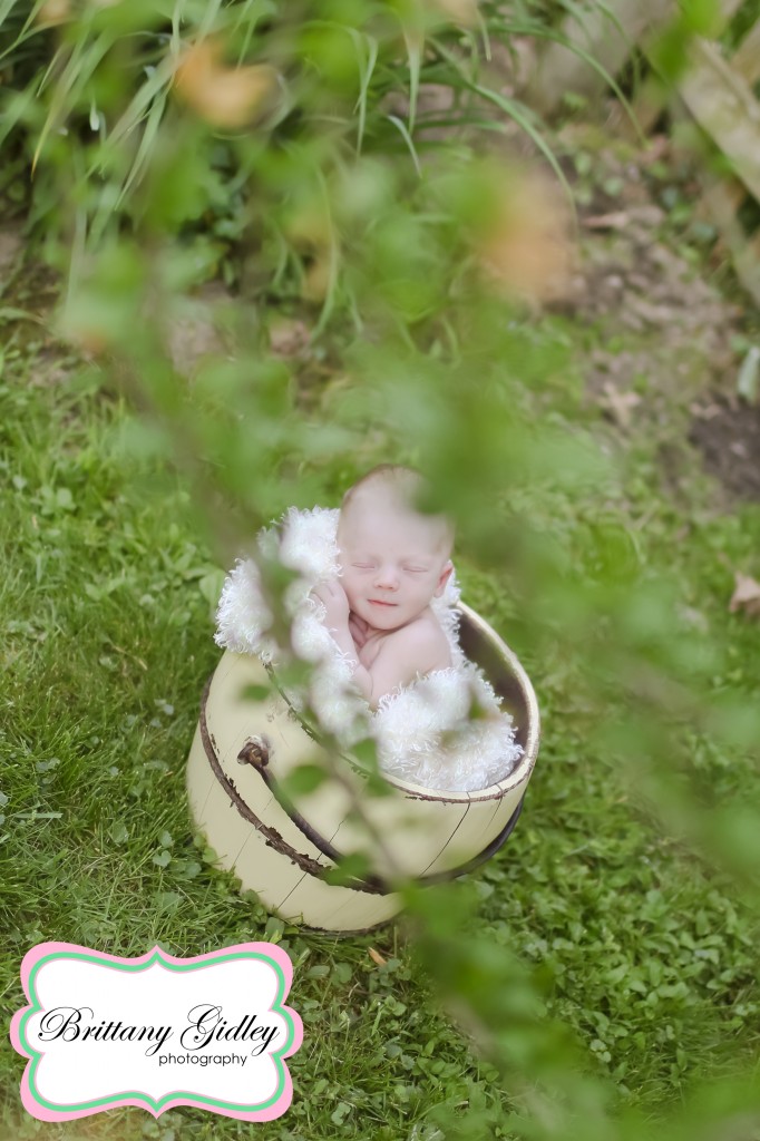 Professional Newborn Photos Cleveland | Brittany Gidley Photography LLC