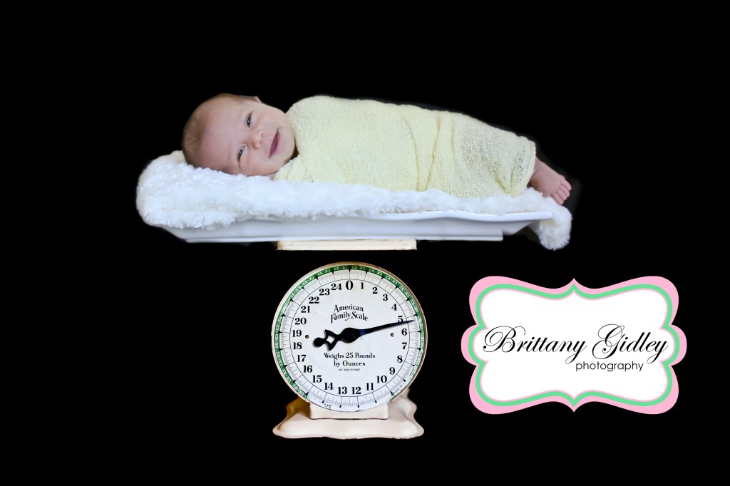 Professional Newborn Photography | Brittany Gidley Photography LLC Professional Newborn Photography | Brittany Gidley Photography LLC
