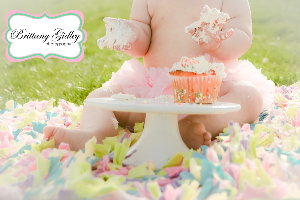 Cleveland Cake Smash Photographer | Brittany Gidley Photography LLC