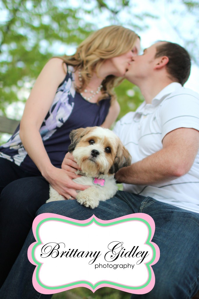 Cleveland Pet Photography | Brittany Gidley Photography LLC