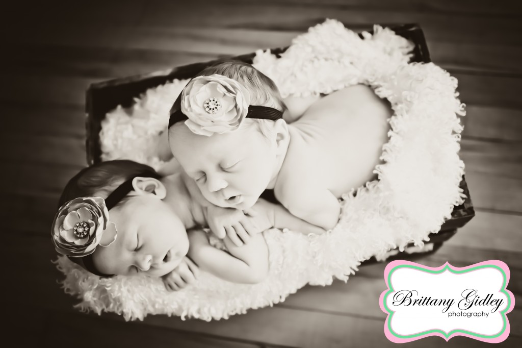 Cleveland Newborn Twin Photographer | Brittany Gidley Photography LLC
