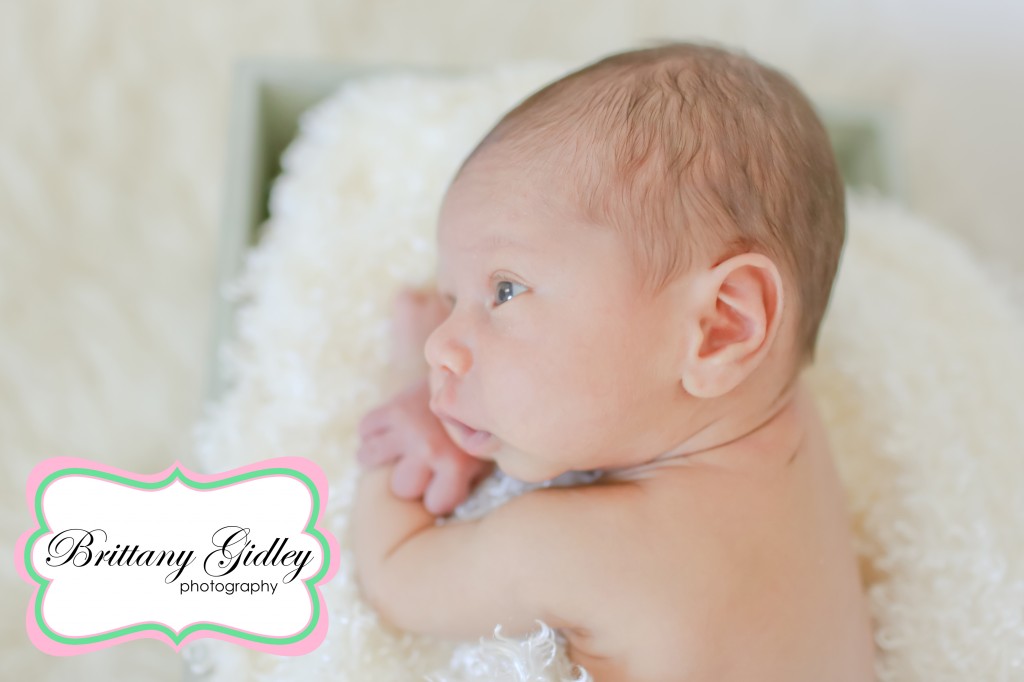 Cleveland Baby Photography | Brittany Gidley Photography LLC Cleveland Baby Photography | Brittany Gidley Photography LLC