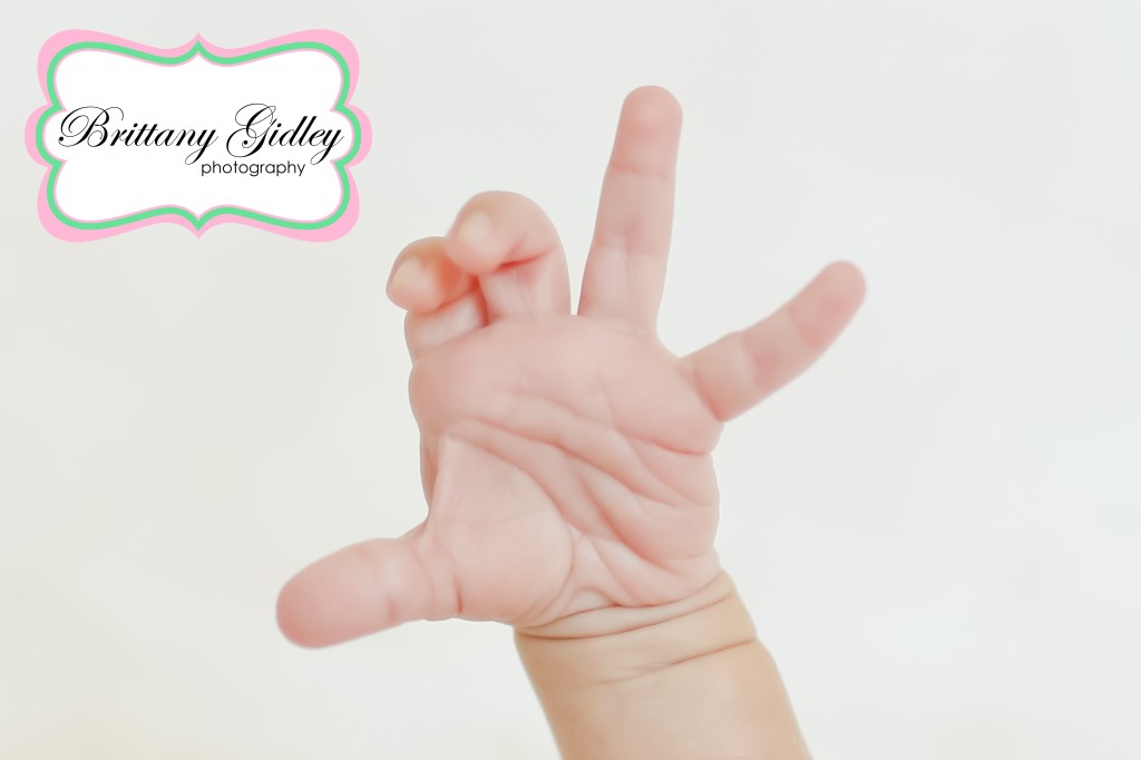 Newborn Photographer Cleveland | Brittany Gidley Photography LLC Newborn Photographer Cleveland | Brittany Gidley Photography LLC