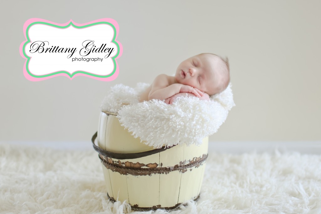 Best Newborn Photographer | Brittany Gidley Photography LLC
