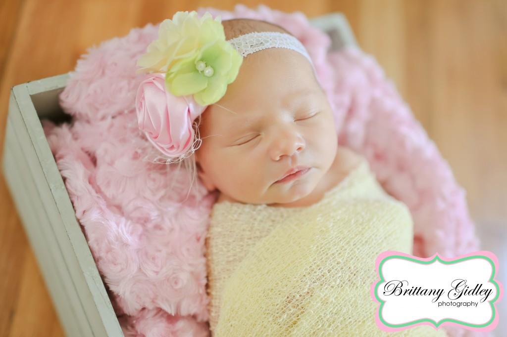 Newborn Photos| Brittany Gidley Photography LLC