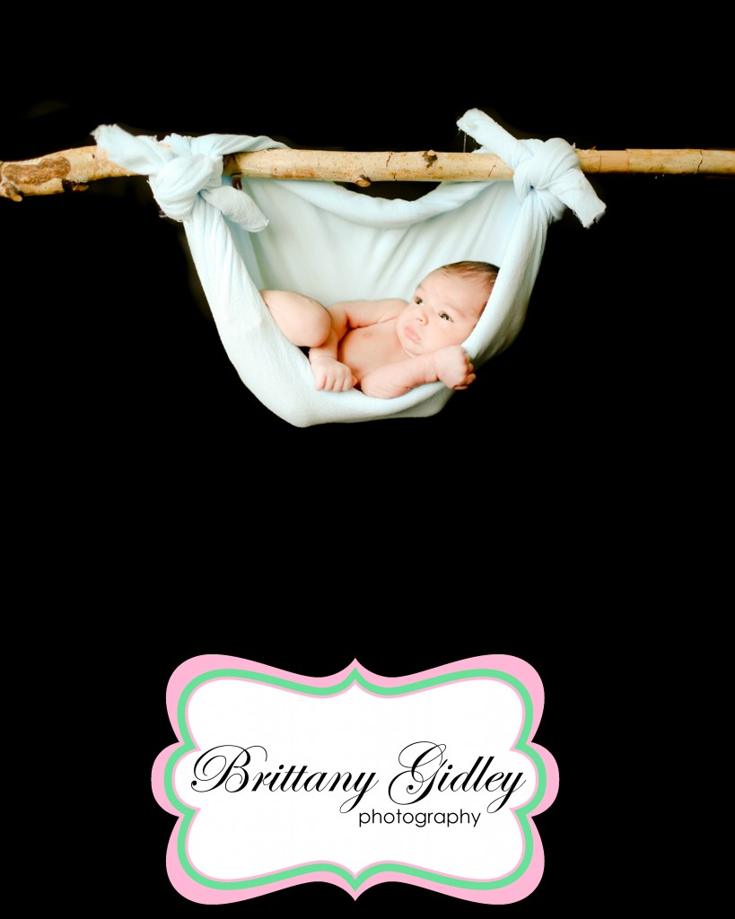 Cleveland's Best Newborn Photographer | Brittany Gidley Photography LLC