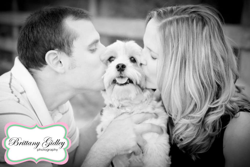 Cleveland Pet Photographer | Brittany Gidley Photography LLC