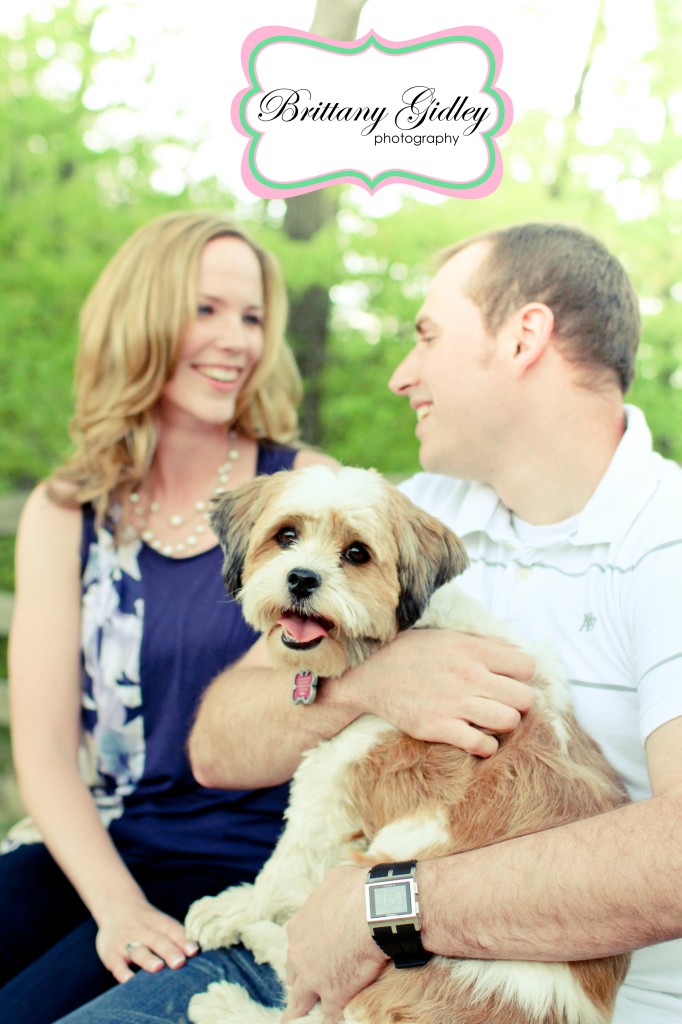 Cleveland Pet Photographer | Brittany Gidley Photography LLC