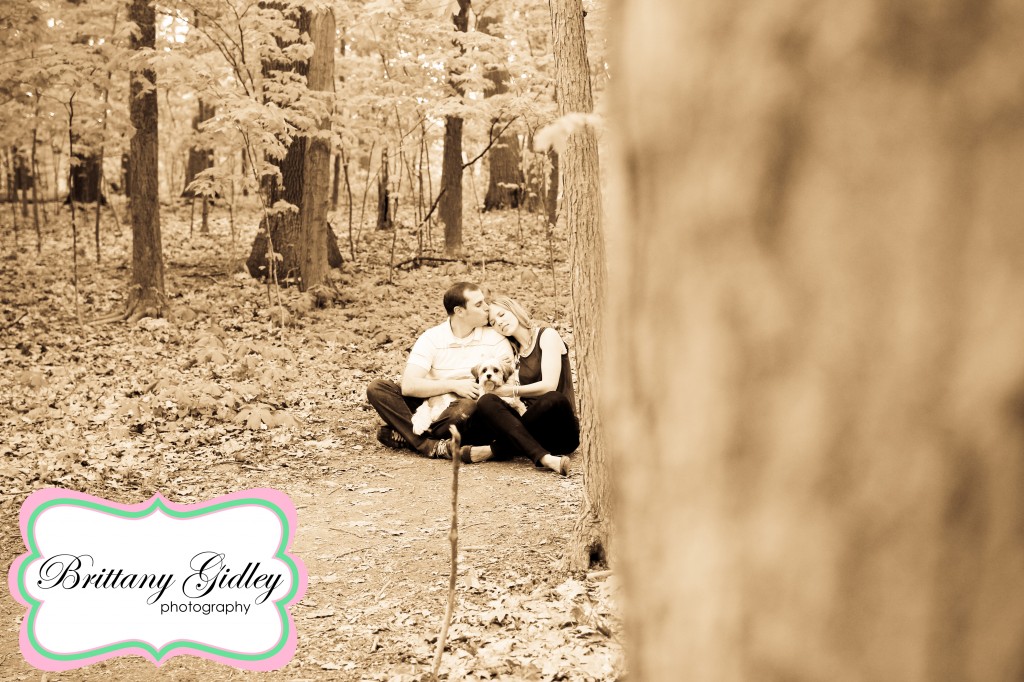 Dog Photography | Brittany Gidley Photography LLC
