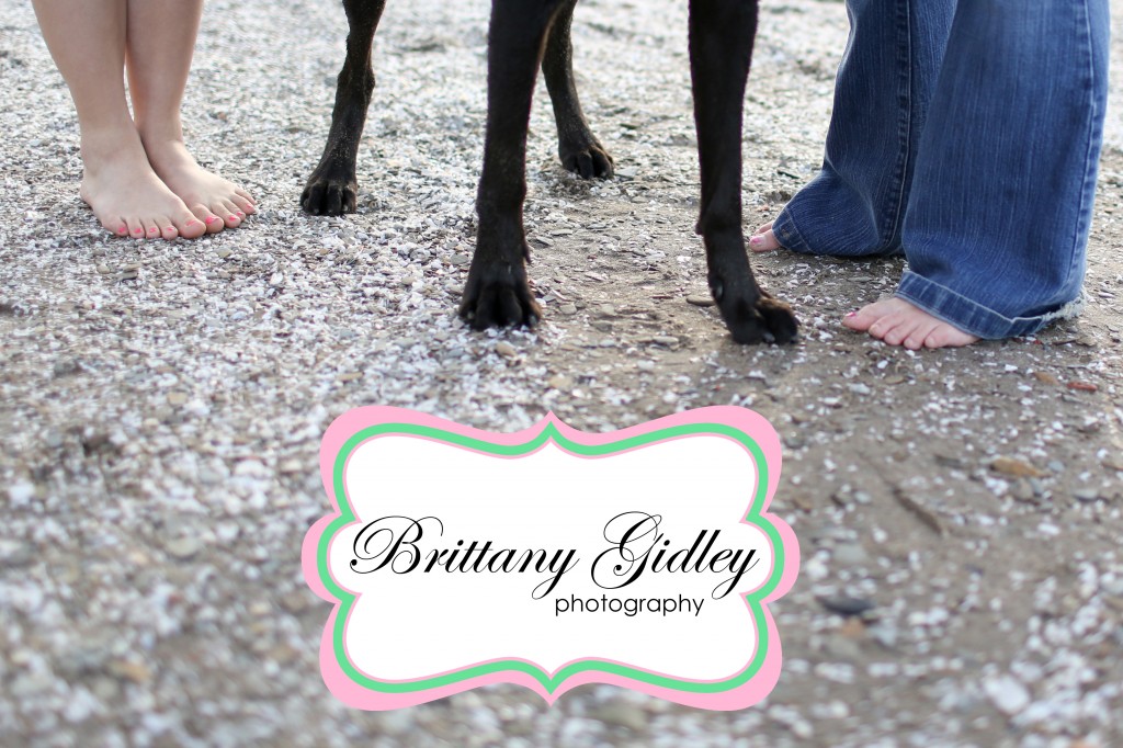 Cleveland Dog Photographer | Brittany Gidley Photography LLC