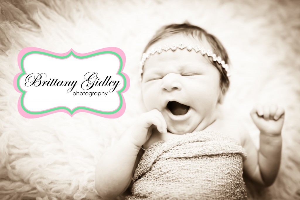 Professional Newborn Photography | Brittany Gidley Photography LLC Professional Newborn Photography | Brittany Gidley Photography LLC