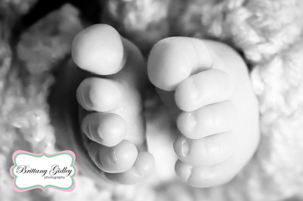 Best Professional Newborn Photographer | Brittany Gidley Photography LLC