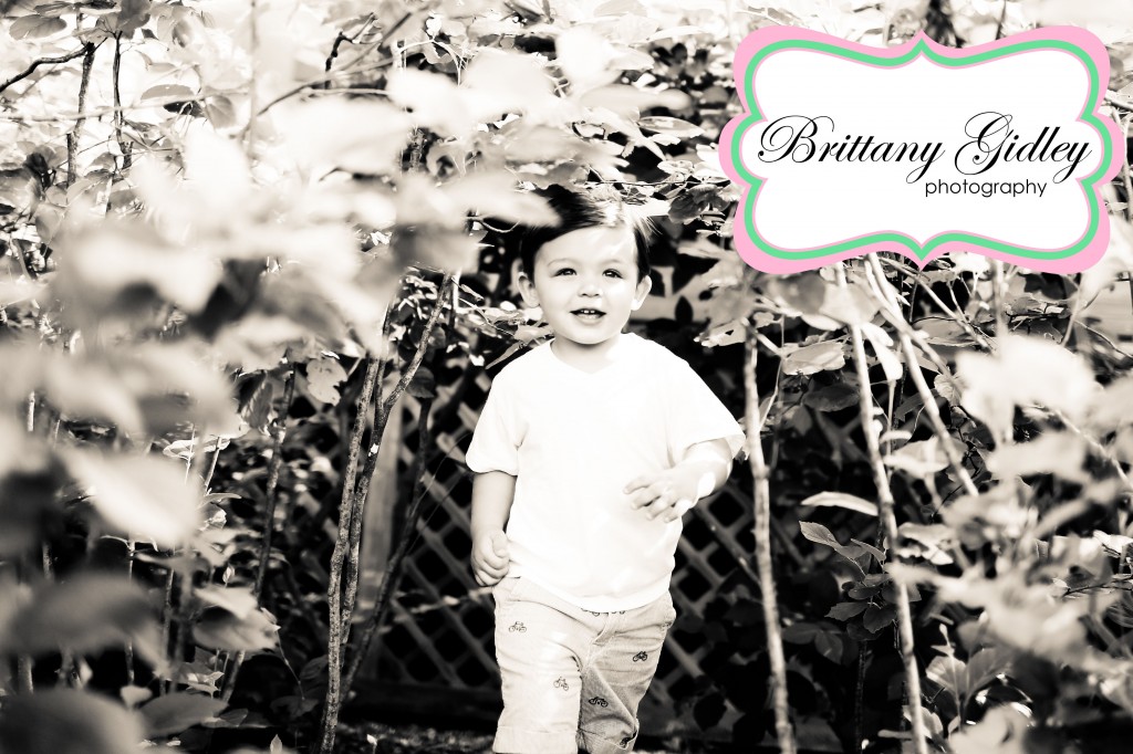 Cleveland Toddler Photography | Brittany Gidley Photography LLC Cleveland Toddler Photography | Brittany Gidley Photography LLC