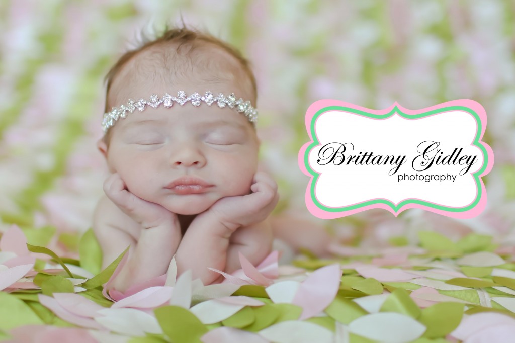 Newborn Baby Girl | Brittany Gidley Photography LLC Newborn Baby Girl | Brittany Gidley Photography LLC