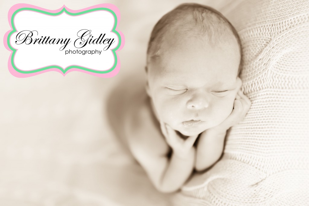 Ohio Newborn Photographer | Brittany Gidley Photography LLC Ohio Newborn Photographer | Brittany Gidley Photography LLC