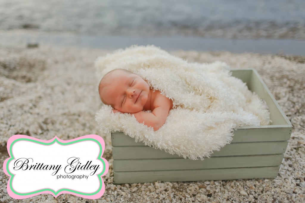 Ohio Professional Newborn Photographer | Brittany Gidley Photography LLC Ohio Professional Newborn Photographer | Brittany Gidley Photography LLC
