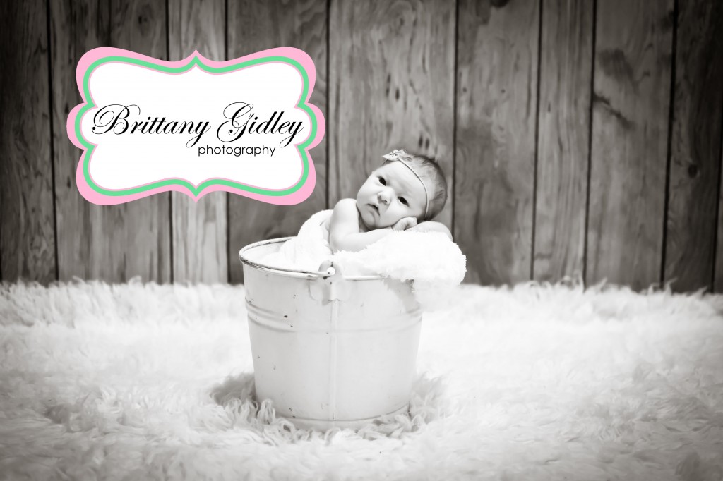 Newborn Baby Photographer | Brittany Gidley Photography LLC Newborn Baby Photographer | Brittany Gidley Photography LLC
