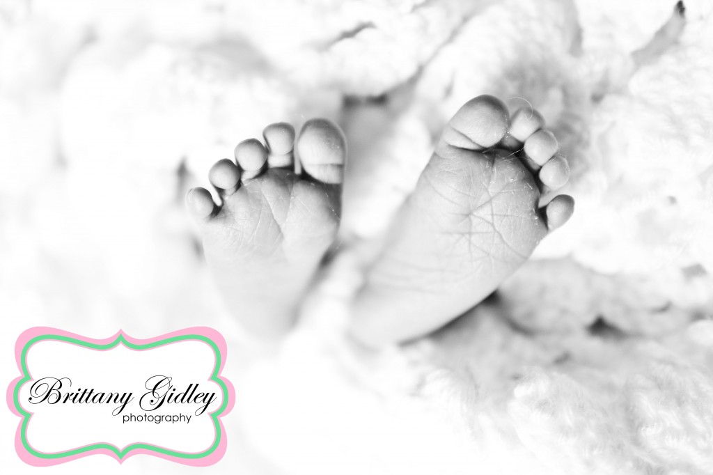 Newborn Baby Photographer | Brittany Gidley Photography LLC Newborn Baby Photographer | Brittany Gidley Photography LLC