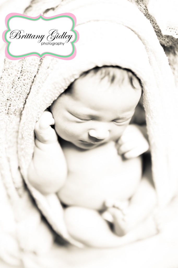 Best Newborn Photographer Cleveland | Brittany Gidley Photography LLC Best Newborn Photographer Cleveland | Brittany Gidley Photography LLC