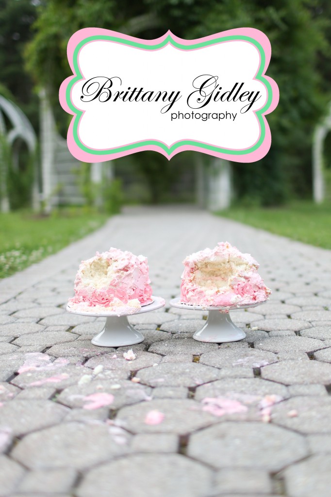 Smash Cake | Brittany Gidley Photography LLC Smash Cake | Brittany Gidley Photography LLC