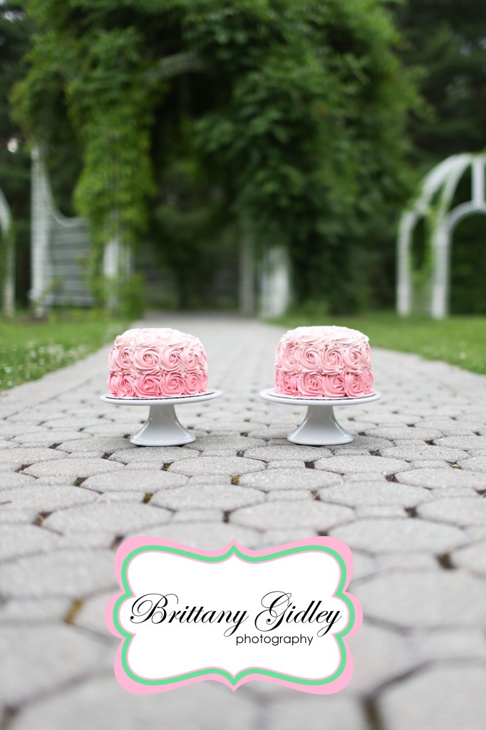 Professional Cake Smash Photography | Brittany Gidley Photography LLC Professional Cake Smash Photography | Brittany Gidley Photography LLC