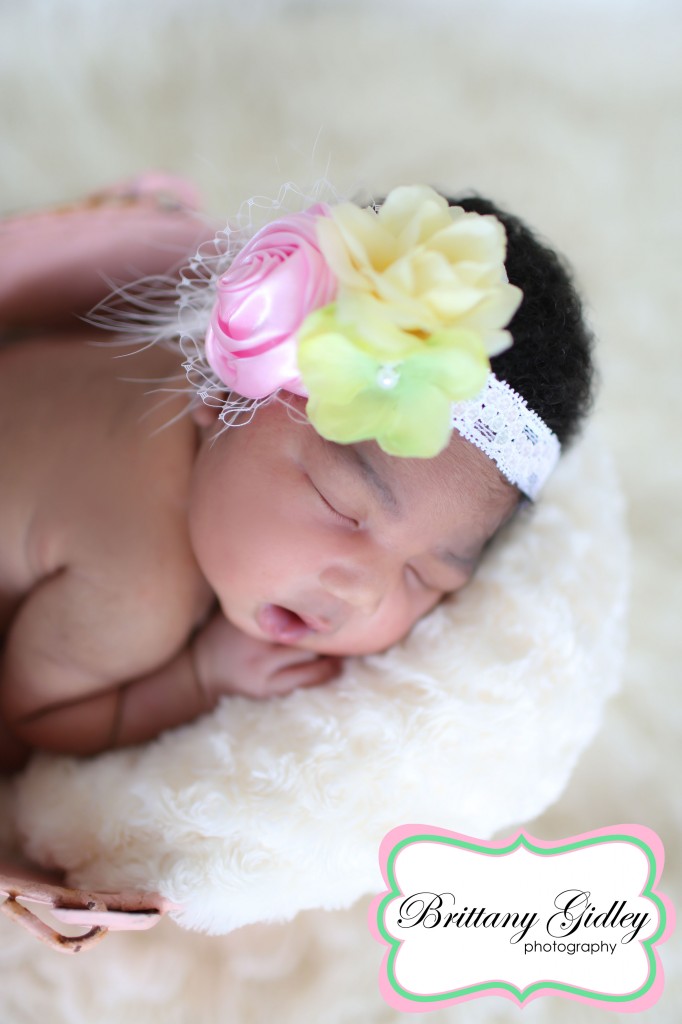 Cleveland Newborn Photographer | Brittany Gidley Photography LLC Cleveland Newborn Photographer | Brittany Gidley Photography LLC