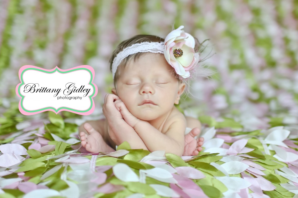 Newborn Posing | Brittany Gidley Photography LLC