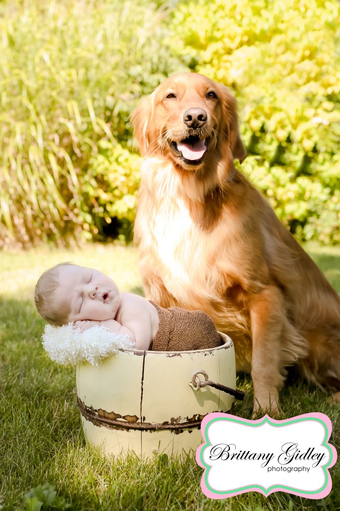 Newborn Baby Boy With His Dog | Brittany Gidley Photography LLC Newborn Baby Boy With His Dog | Brittany Gidley Photography LLC