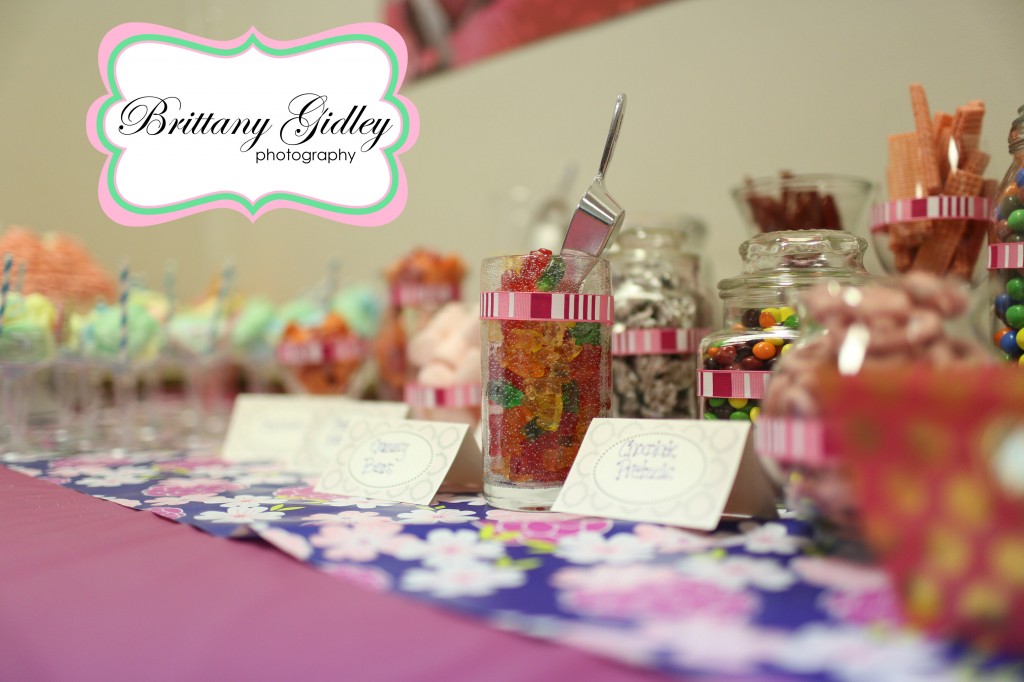 First Birthday | Brittany Gidley Photography LLC First Birthday | Brittany Gidley Photography LLC