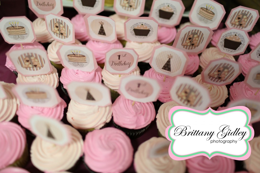 First Birthday | Brittany Gidley Photography LLC First Birthday | Brittany Gidley Photography LLC