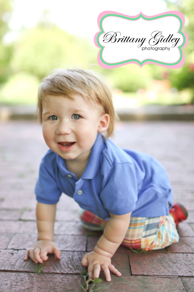 12 Month Cake Smash Session | Brittany Gidley Photography LLC 12 Month Cake Smash Session | Brittany Gidley Photography LLC