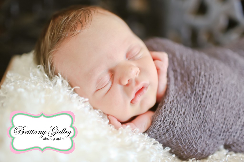 Family With Newborn Baby | Brittany Gidley Photography LLC